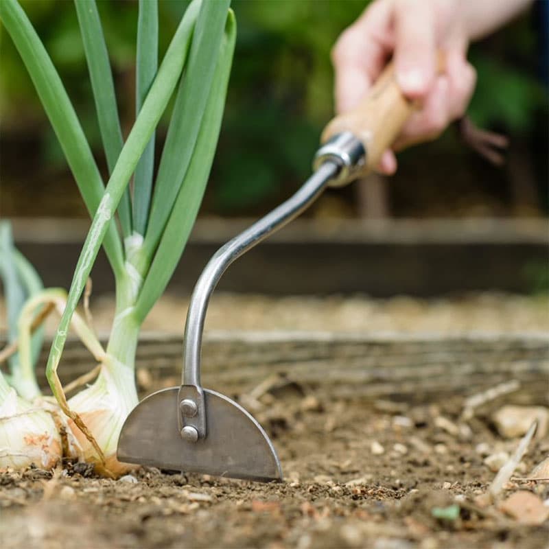 Rensraka Hand Onion Hoe, 335 mm handsmidd ogräsraka i rostfritt stål med askhandtag