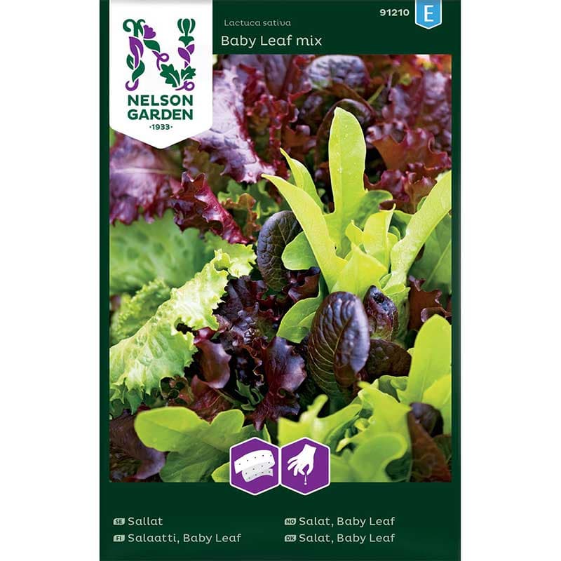 Baby Leaf sallat - mix av sorter, snabbväxande, lättodlad, växtläge: sol/halvskugga.