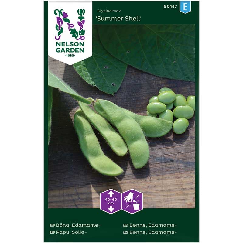 Edamameböna 'Summer Shell', grön, 40-60 cm hög, sol, väldränerad och mullrik jord, 30 plantor.