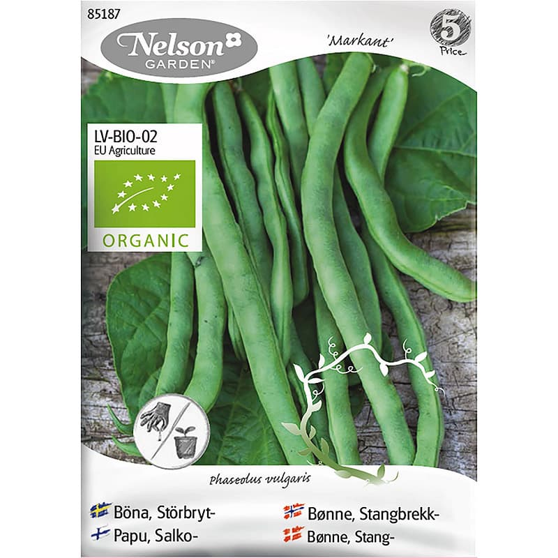 Störbrytböna 'Markant', ekologisk, grön, 200 cm, sol, 40 frön, räcker till 18-20 plantor.