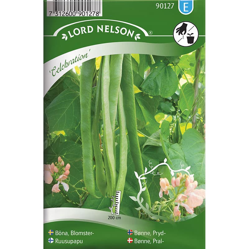 Blomsterböna 'Celebration', laxfärgade blommor, 200 cm hög, väldränerad jord, vattna rikligt.