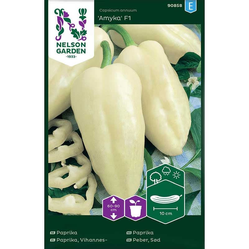 Paprika 'Amyka' F1, cremevit, 60-90 cm, sol, 8 frön, räcker till 5 plantor, tidig skörd, lättodlad.