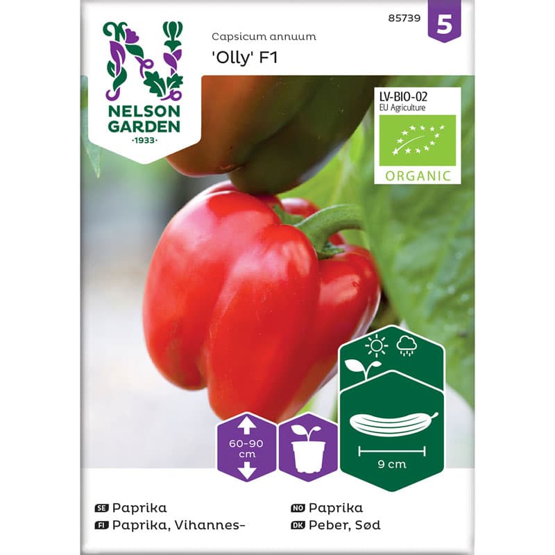 Paprika 'Olly F1', ekologisk, grön/röd, söt smak, 60-90 cm hög, växer i sol.