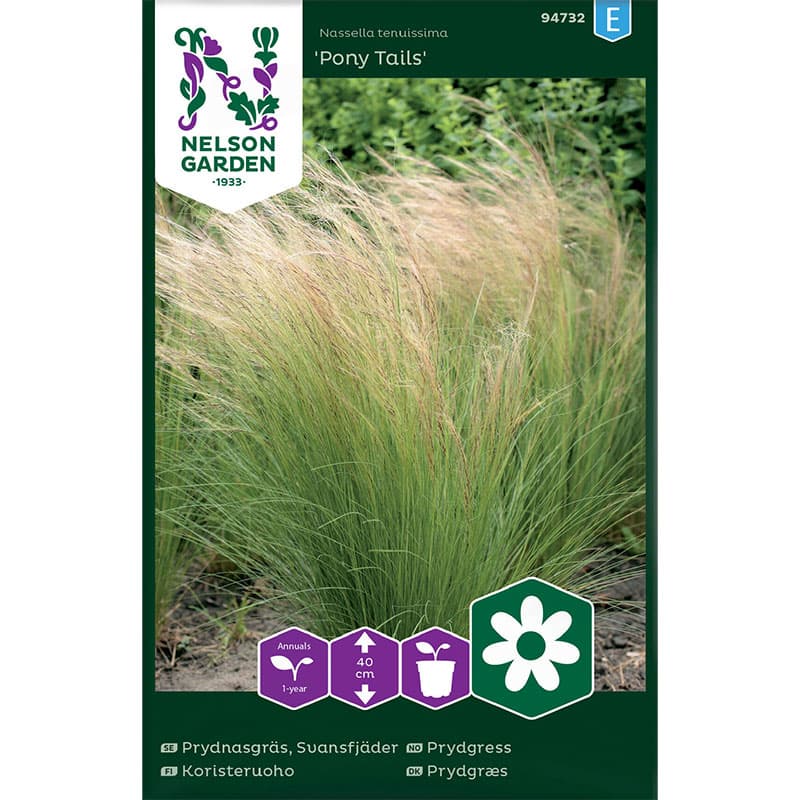 Svansfjädergräs 'Pony Tails', grön, 40 cm, sol, lättodlad, 150 frön, räcker till 10-15 tuvor.