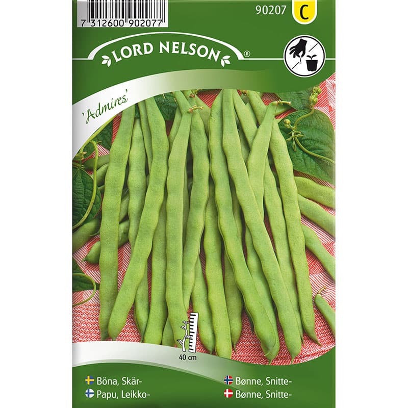 Skärböna 'Admires', platta baljor, 18 cm långa, 20 mm breda, trådfria, sol, 80 frön, räcker till 4-6 m.