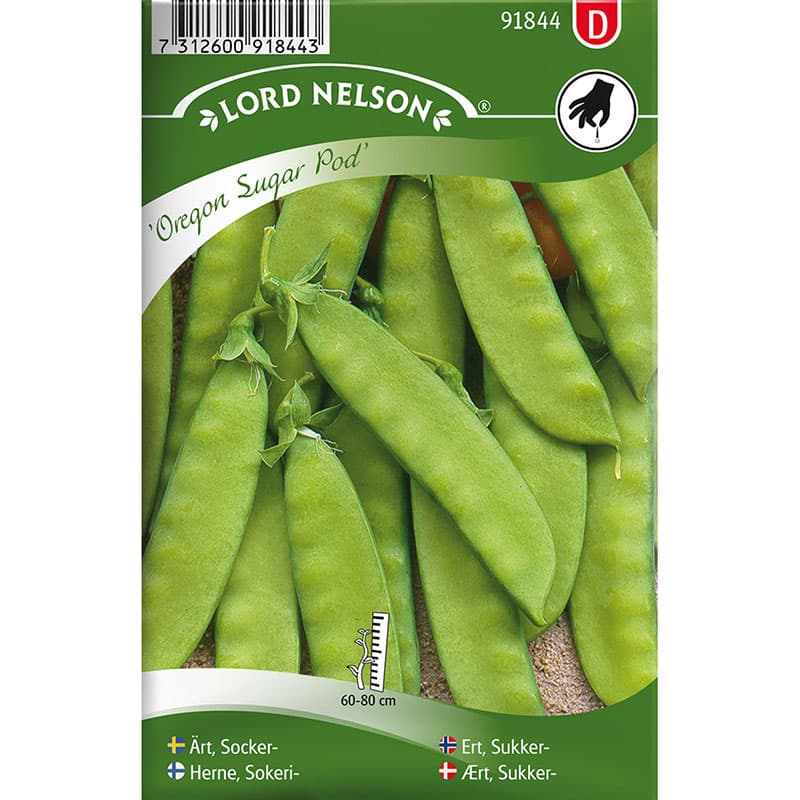 Sockerärt 'Oregon Sugar Pod', grön, 9-10 cm baljor, 60-80 cm höjd, sol, 88 frön, räcker till 4-6 m.