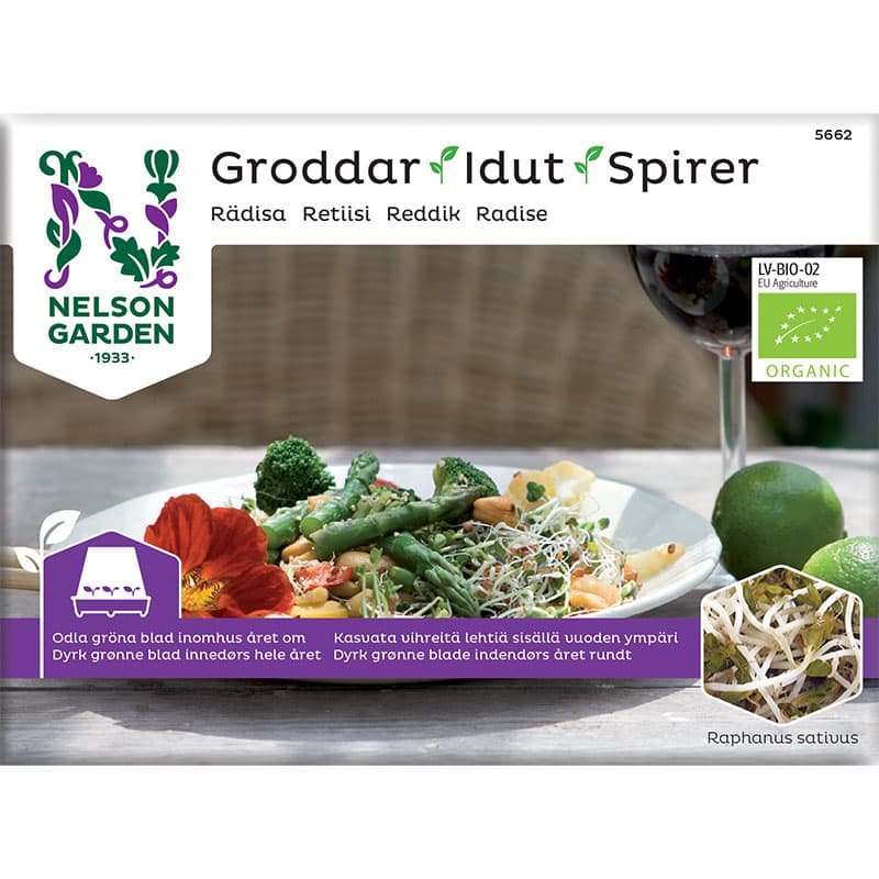 Groddar Rädisa - Primo Vitamino, ekologiska, 25 gram, färdiga efter 4-6 dagar, ljust läge.