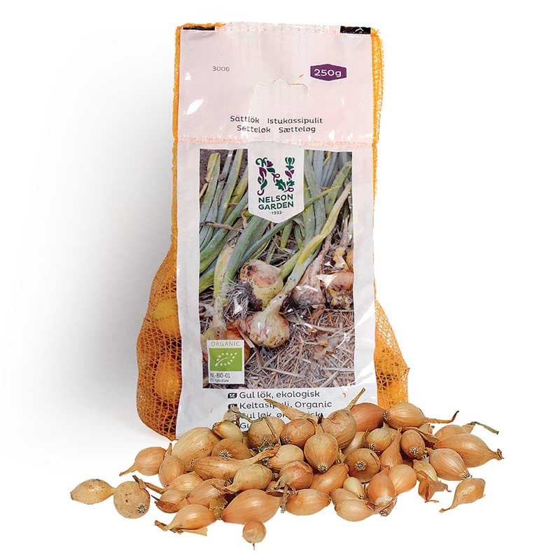 Gul lök, sättlök, ekologisk, 250 g klassisk rund gul lök lättodlad god i matlagning
