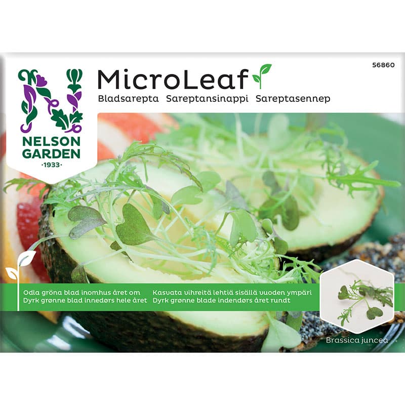Micro leaf, Bladsarepta 'Red Frills', röd färg, fransiga blad, lättodlad, inomhusodling, 0,3 gram frön.