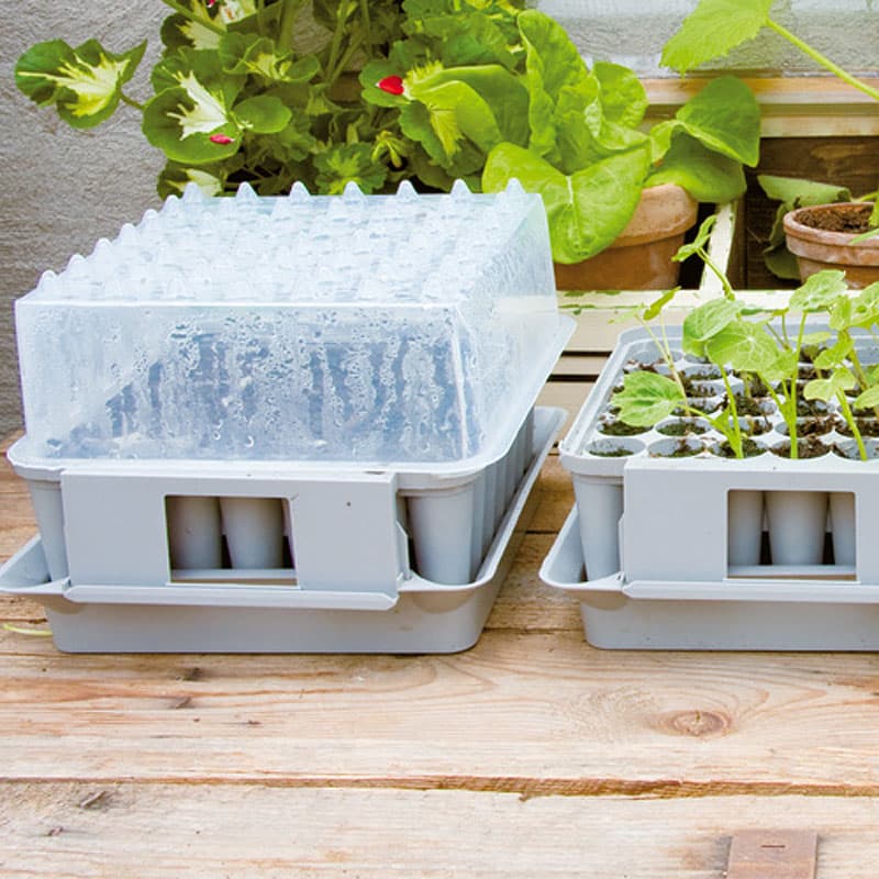 Pluggbox - PlantStart, grå, 22x20x15 cm, högkvalitativ, maskindiskbar, med bottentråg och lock.