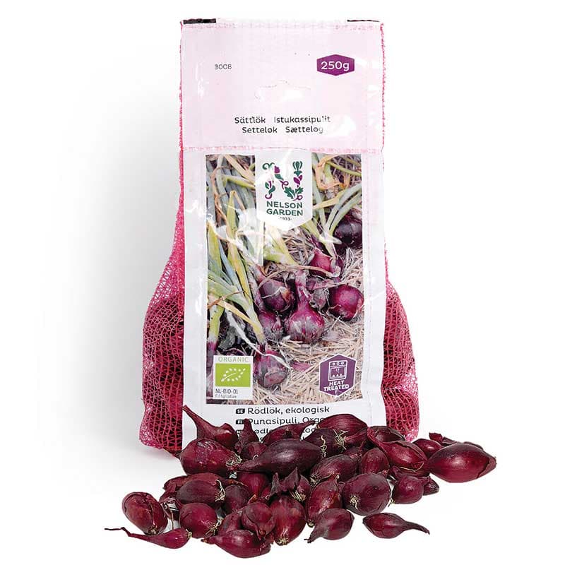 Röd lök, sättlök, ekologisk, 250 g mild dekorativ rödlök värmebehandlad god i sallad