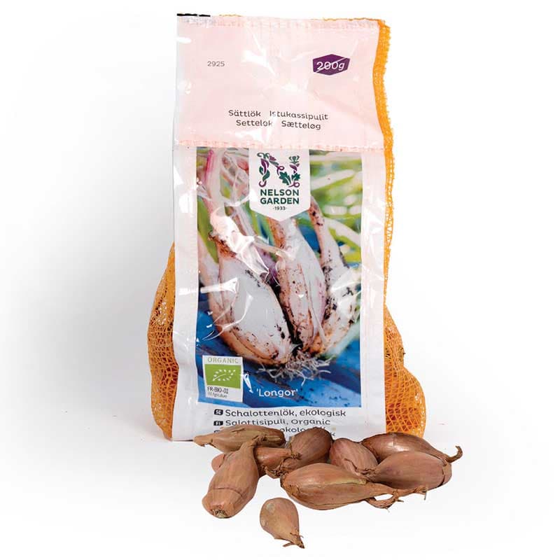 Schalottenlök 'Longor' sättlök ekologisk, 200 g aromatisk avlång lök lätt att skiva