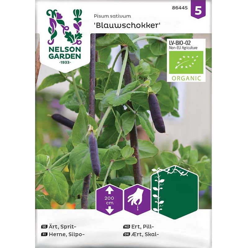 Spritärt 'Blauwschokker', ekologisk, blålila färg, höjd 200 cm, växtläge sol.