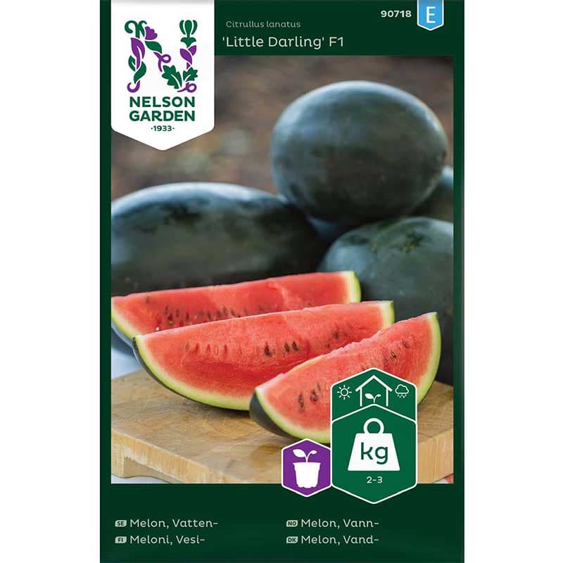 Vattenmelon 'Little Darling' F1, röd, söt, oval form, växthus, lucker, näringsrik jord, sol.