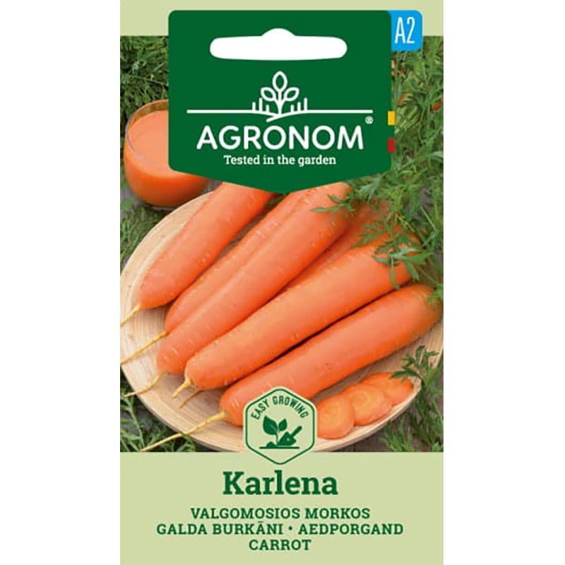 Morot 'Karlena', sen sort, sprickfri, 18-24 cm, 140-150 dgr, 3 gram, bra för vinterförvaring.