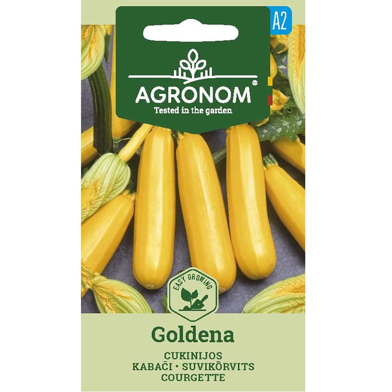 Squash 'Goldena', gul, cylinderformad, 20-60 cm, buskigt växtsätt, värmekrävande, 2 gram frön.