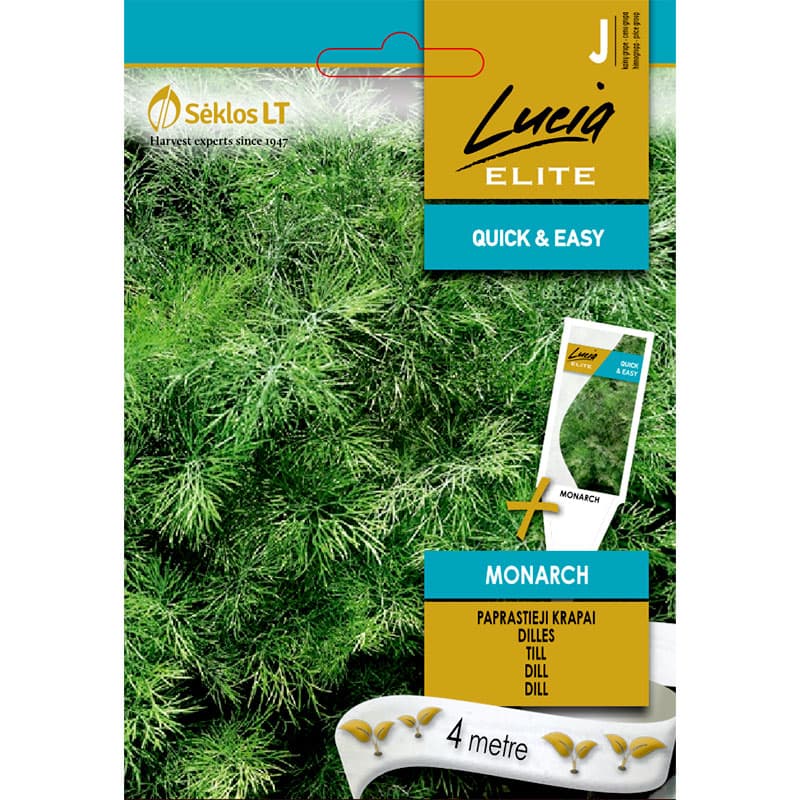 Dill 'Monarch', tidig, väldoftande, friskt grönt bladverk, sen blomning, 4 meter såband, ger 280 plantor.