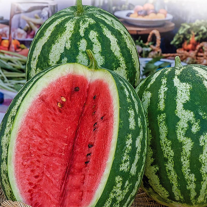Vattenmelon 'Crimson Sweet', röd fruktkött, tidig sort, kan odlas i växthus och utomhus, 1 gram frön.