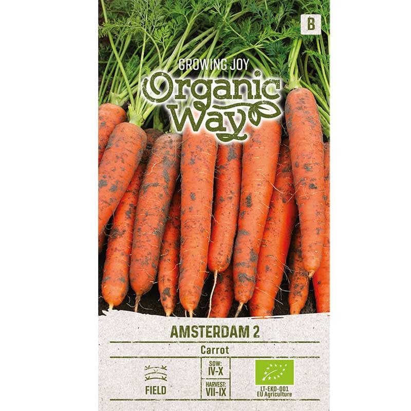 Morot 'Amsterdam 2', ekologisk, orange, söt, 60 dagar till skörd, 40 cm hög.