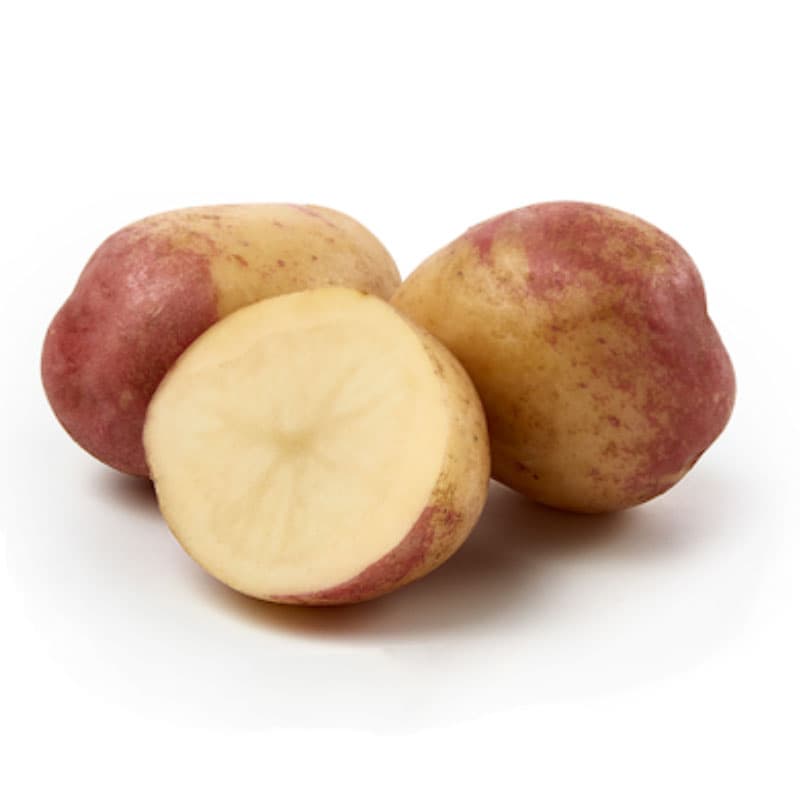 King Edward, sättpotatis, 1 kg gulvit potatis rundoval mjölig klassisk sort god smak