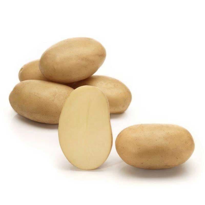 7 four 7, sättpotatis, 1 kg medeltidig ljusgul oval potatis fast kött hög skörd