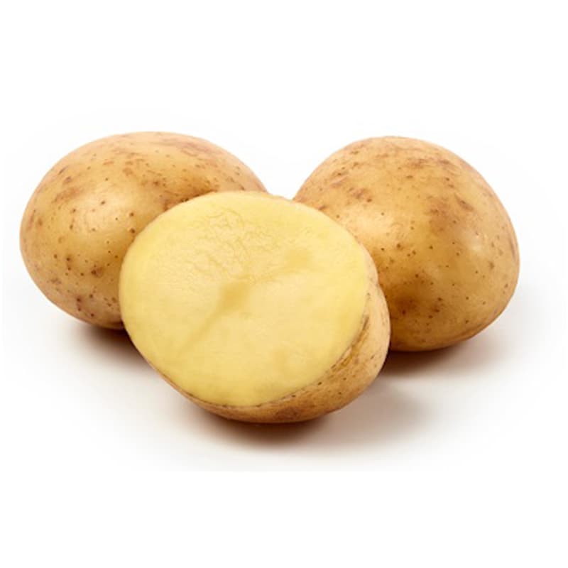 Connect, sättpotatis Ekologisk, 1 kg gul fast potatis tidig frisk sort hög resistens