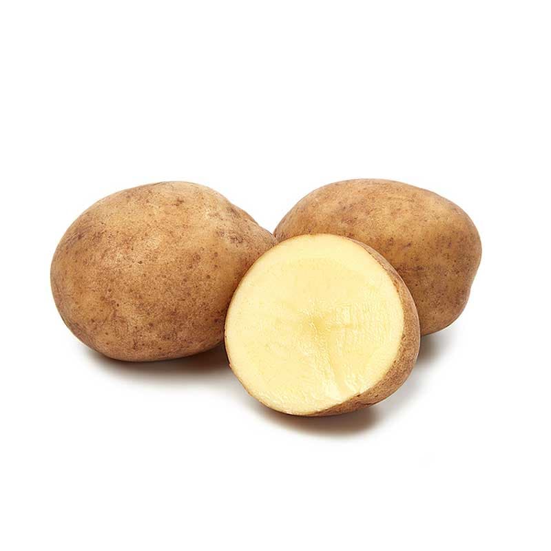 Solist, sättpotatis, 1 kg mycket tidig gul rund potatis populär färskpotatis sort