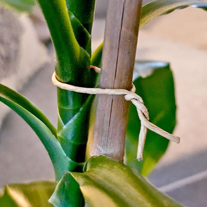 Bindtråd natur 25-pack