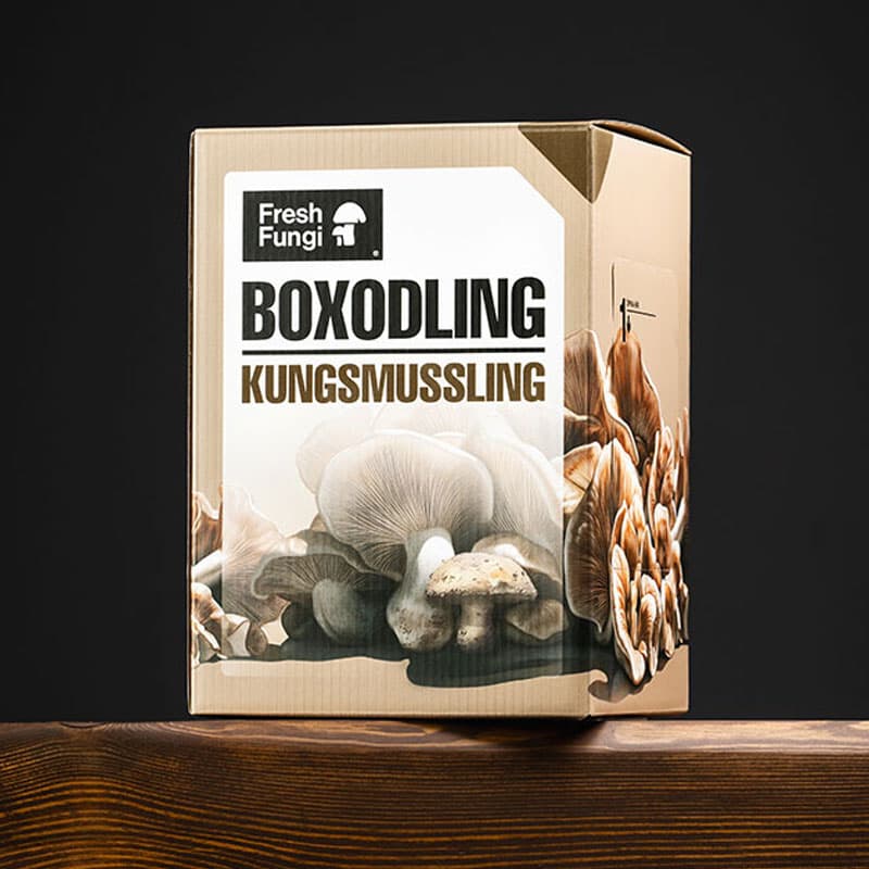 Svampodlingskit, Kungsmussling, Skörd: 500 g, Mått: 16 x 23 x 16 cm, Hållbarhet: 6 månader