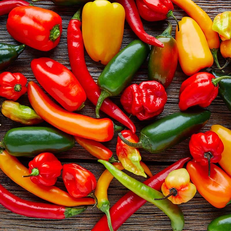 Chili- och paprikamix, 4 sorter, röd och gul, het och mild, 20 frön, smakrik