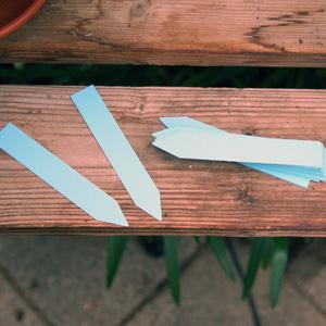 Plantetiketter 50-pack, blå, plast, 10 x 1,5 cm, tål fukt och jord, passar för sådd och förodling, 50 st.