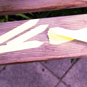 Plantetiketter 50-pack, gula, 10 x 1,5 cm, plast, för märkning av fröer och plantor, tål fukt.