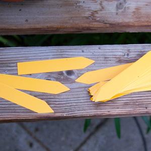 Plantetiketter 50-pack, orange, plast, 10 x 1,5 cm, fukt- och jordtåliga, perfekta för sådd och omplantering.