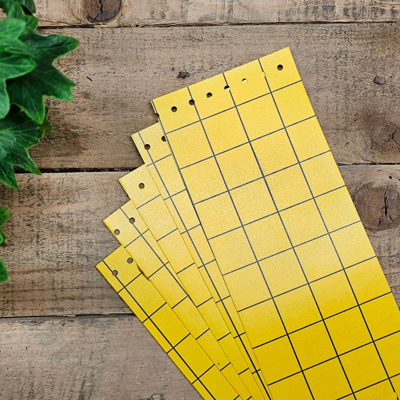 Klisterskiva mot ohyra, 5-pack, 25x10 cm, giftfria, effektiv mot mjöllöss, bladlöss, sorgmyggor.