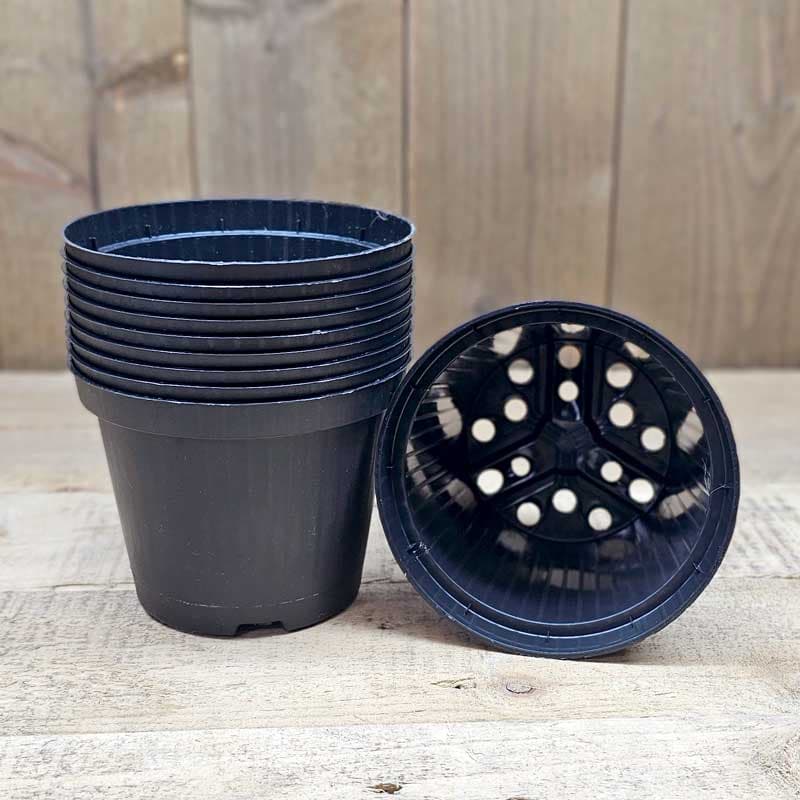 Rund plastkruka 12 cm, svart, återvunnen, dränering, 10-pack, slitstark och återanvändbar.