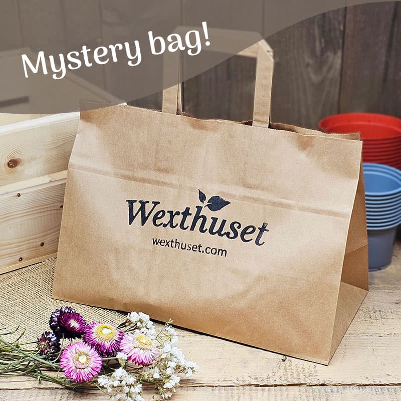 Mystery Bag, hemlig påse med 6 utvalda odlingsprodukter värde ca 380 kr