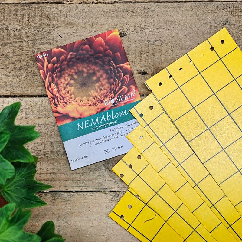 Nemablom & Klisterskivor, 1 x Nemablom, 5 x klisterskivor, naturligt bekämpningsmedel, ofarligt för människor och djur.