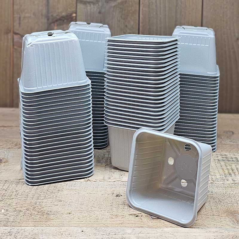 Såkrukor 8x8 cm, 100-pack, fyrkantiga, 100% återvunnen plast, för förodling av grönsaker och blommor.