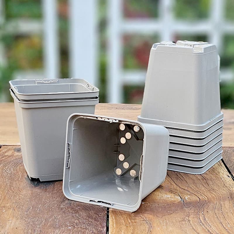 Perennkruka 11x11 cm, ljusgrå, 10-pack, återvinningsbar plast, stabil konstruktion för omskolning.