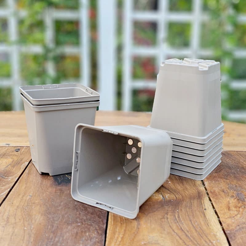 Perennkruka 9x9 cm, 10-pack, ljusgrå, återvinningsbar plast, för förodling och omskolning.