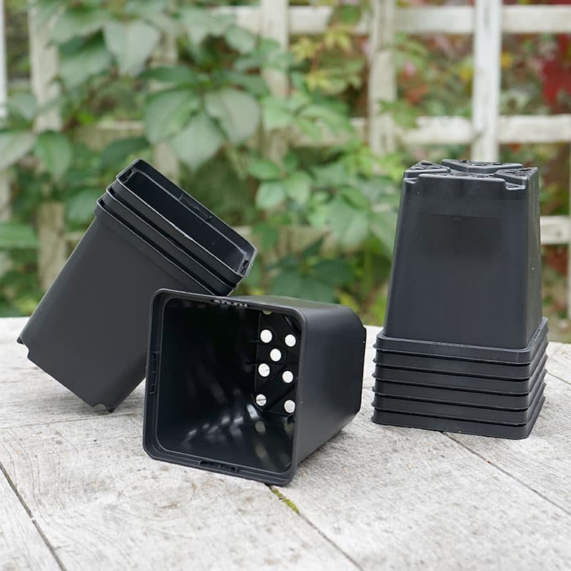 Perennkruka 11x11 cm, 10-pack, fyrkantig, 100% återvunnen plast, hållbar för omskolning.