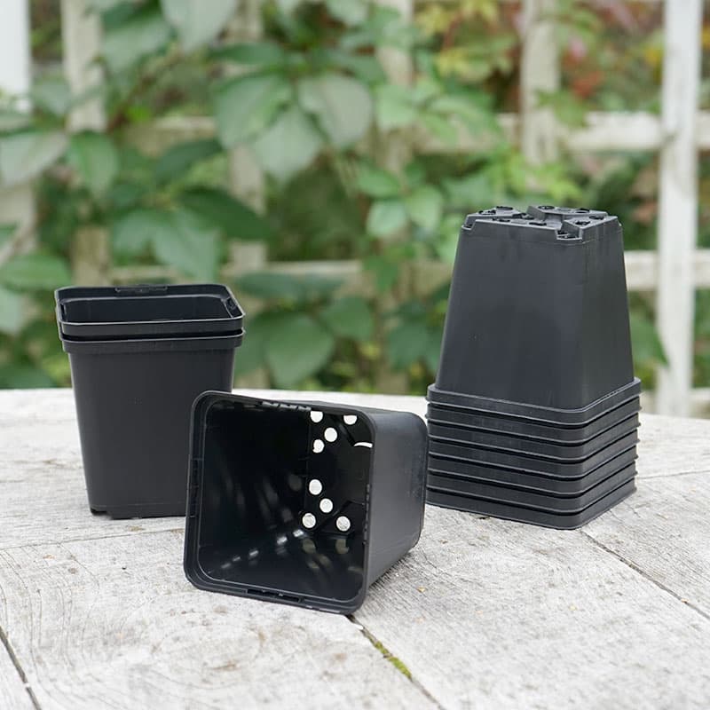 Perennkruka 9x9 cm, fyrkantig, 100% återvunnen plast, för förodling, 10-pack.