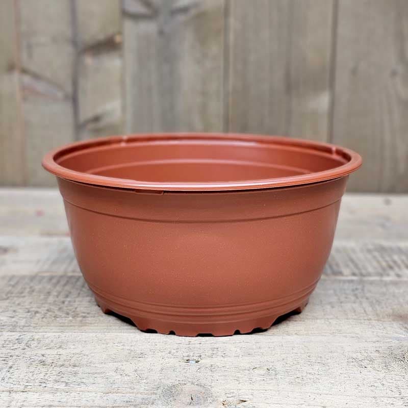 Planteringsskål 21 cm, terrakotta, diameter 21 cm, höjd 9,5 cm, hållbar plast, dränering, 3-pack.