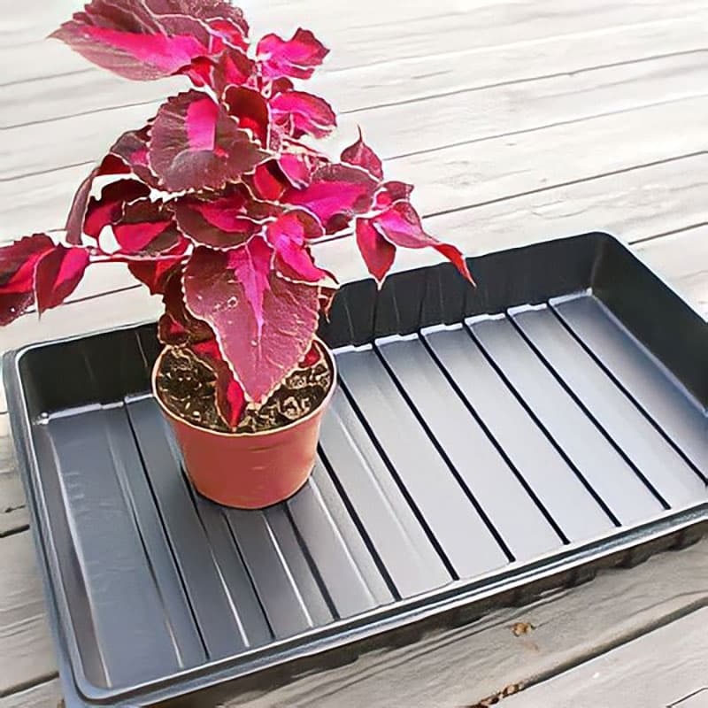 Plantlåda 53x32x6,5 cm i plast, rymmer 36 krukor, stabil, säljs styckevis, perfekt för sticklingar.