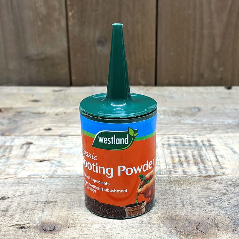 Rotningspulver 100 g, naturlig organisk näringskälla, stimulerar rotväxt, för prydnadsväxter och ätbara växter.