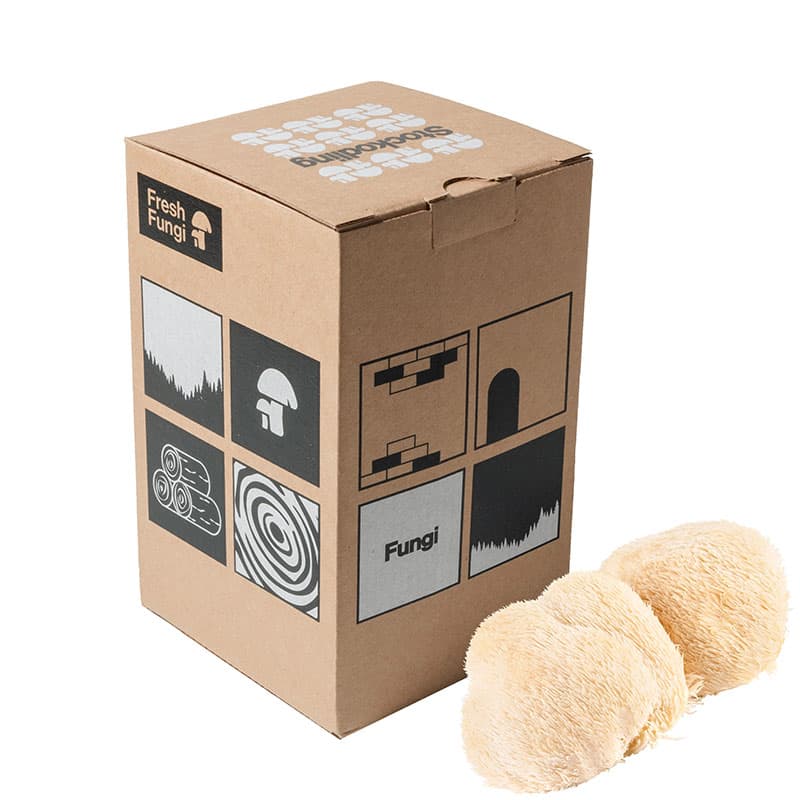 Stockodlingskit, Lions Mane, Krabblika smak, Skörd efter 6-12 månader, 100 pluggar ingår