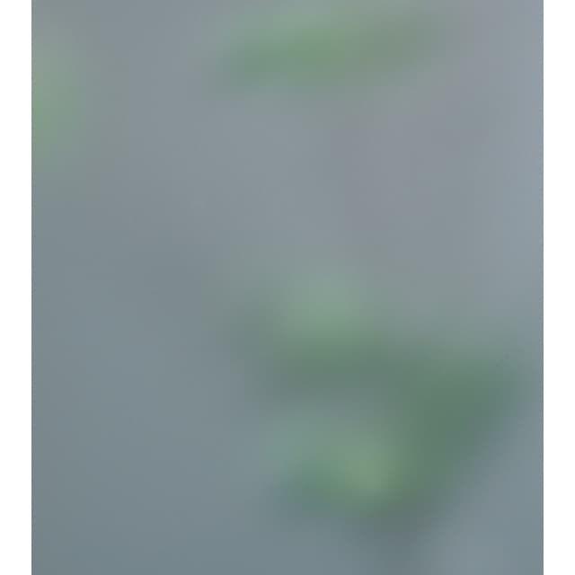 TILLÄGG SANDBLÄSTRAT GLAS JELD-WEN | Beijerbygg Byggmaterial