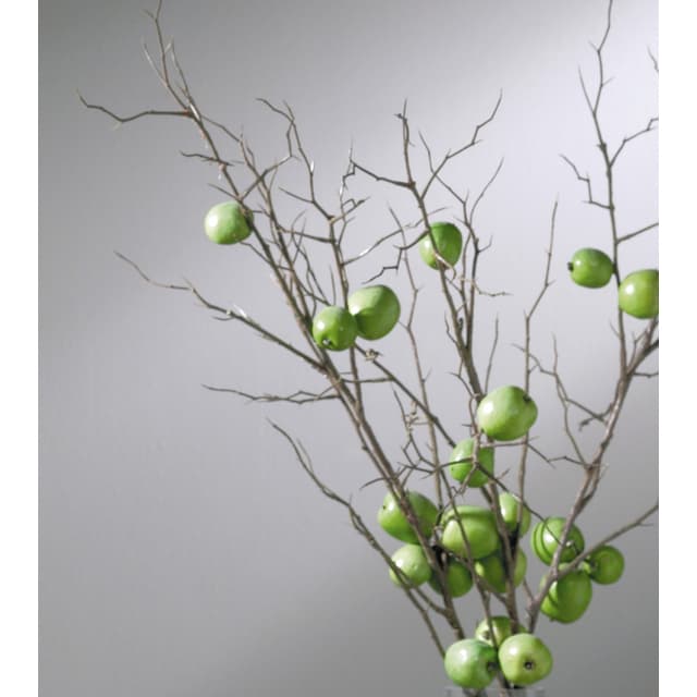 TILLÄGG KLARGLAS JELD-WEN | Beijerbygg Byggmaterial