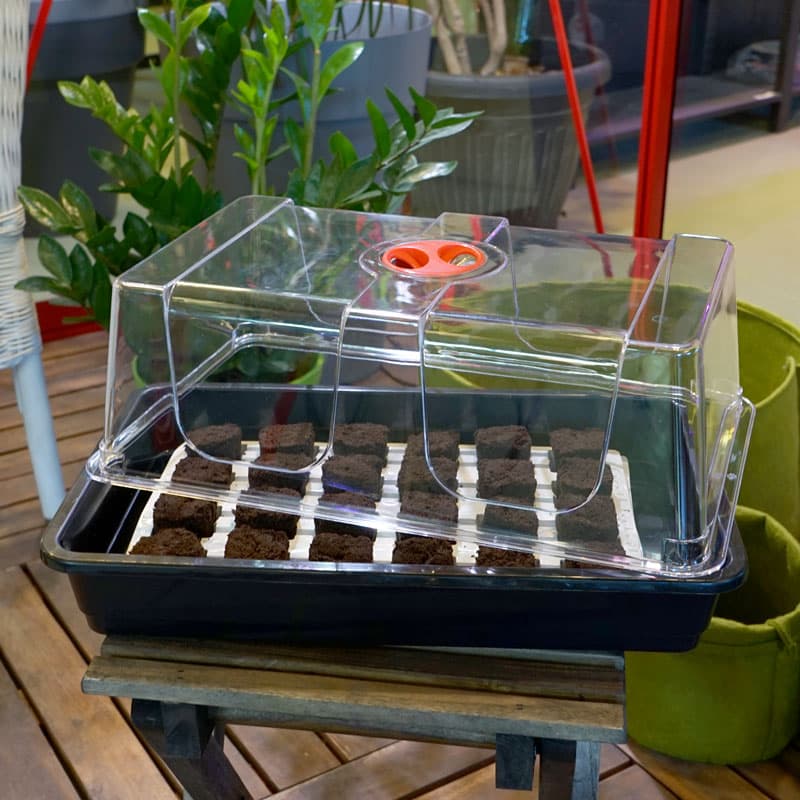 Root Riot 24-pack med minidrivhus, rotningskuber, 24 stycken, brätte 20x30 cm, minidrivhus 37,5x23x18 cm.