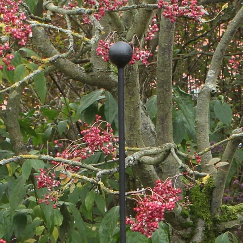 Växtstöd Steel Plant Stakes svart 2-pack, 12 mm stålstavar H175 mattsvart topp klot